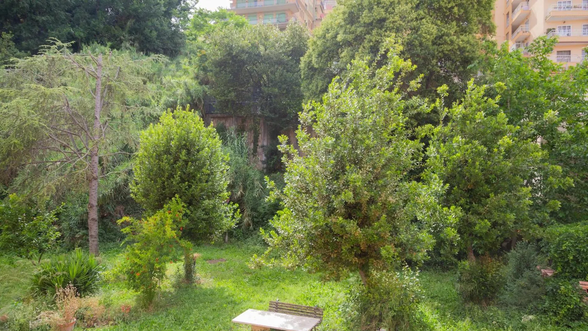 Apartment La Casa Di Nonna Peppina A Trastevere Rome Italy